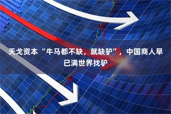 天戈资本 “牛马都不缺，就缺驴”，中国商人早已满世界找驴