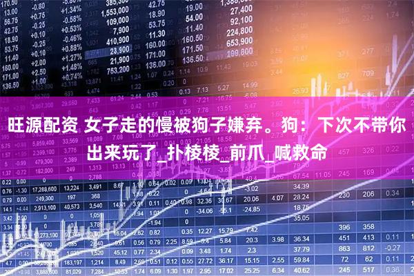 旺源配资 女子走的慢被狗子嫌弃。狗：下次不带你出来玩了_扑棱棱_前爪_喊救命