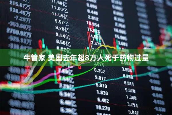 牛管家 美国去年超8万人死于药物过量