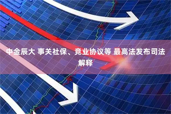 中金辰大 事关社保、竞业协议等 最高法发布司法解释