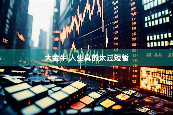 大金牛 人生真的太过短暂