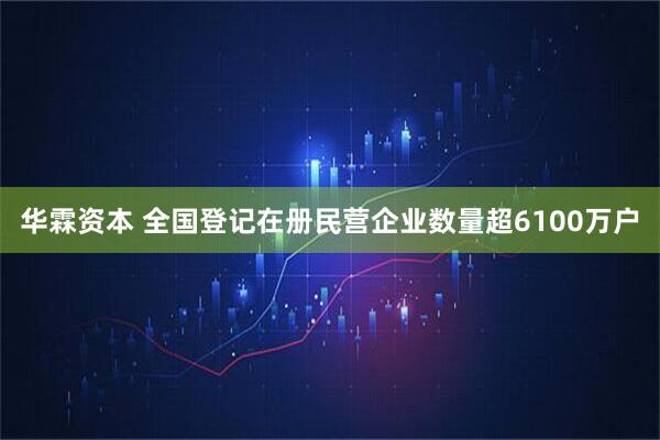 华霖资本 全国登记在册民营企业数量超6100万户