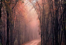 十大证券公司的排名:股票开户可以开多少-一则传闻引爆市场！机器人板块逆市崛起 究竟发生了什么？